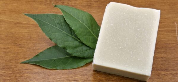 savon artisanal baie laurier